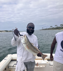 Angler fishing in Pensacola