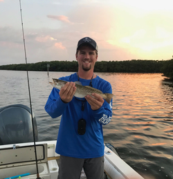 Spotted Weakfish, 9 inches, fishing in FL