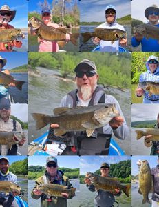 10 smallmouth bass caught in WV