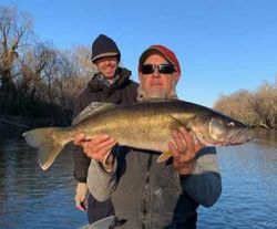 A great catch of a 47-inch fish in WV