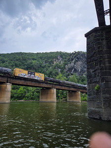 Partly cloudy skies set the stage for an epic day of mixed-technique fishing in Harpers Ferry!