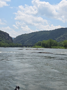 Partly cloudy skies set the stage for an epic day of diverse fishing techniques at Lockes Landing!