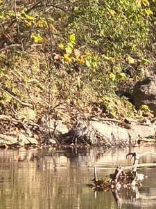 Great fishing conditions with multiple techniques working well today. Cloudy afternoon made for exciting adventure.