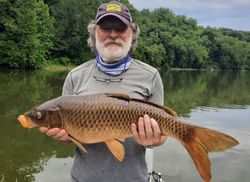 A single common carp fish caught in WV
