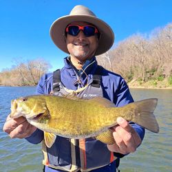 Angler with big 20-inch fish caught at Harpers Ferry