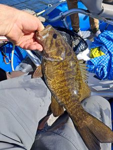One fishing rod in West Virginia