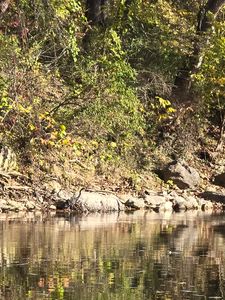 Perfect conditions for jigging and fly fishing. Weather turning cloudy - great for afternoon fishing.