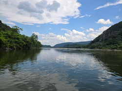 Jigging, fly fishing, and more: the best fishing techniques shine in Harpers Ferry!