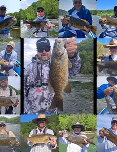 8 smallmouth bass caught in Harpers Ferry while fishing