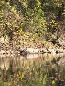 Perfect conditions at Lockes Landing. Multiple techniques ready for an exciting adventure.