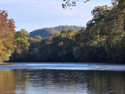 Perfect conditions for jigging and fly fishing at Lockes Landing before the afternoon clouds roll in.