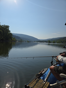 Partly cloudy skies set the stage for diverse fishing techniques at Lockes Landing!