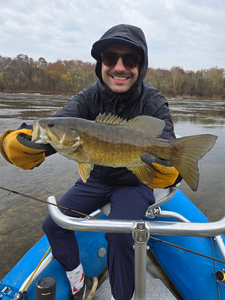 Nice smallmouth bass using jigging technique on the river today!