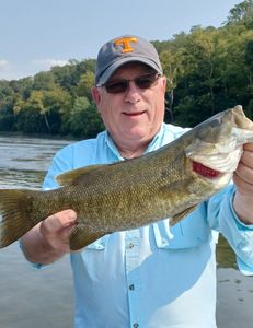 Smallmouth bass caught at Harpers Ferry