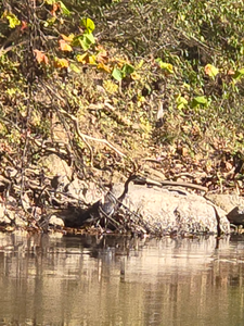 Perfect fishing weather before the afternoon clouds roll in at Harpers Ferry.