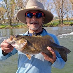 Sooty grunter fishing in WV