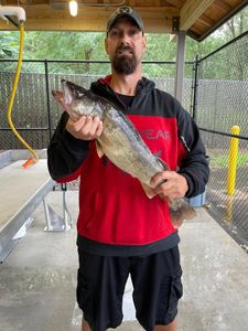 One person fishing in PA