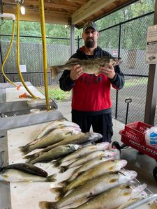 4 fish caught in PA while fishing
