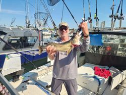 Angler with pike-perch fish caught in PA