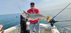 A single fisherman catches a 33-inch fish in Erie