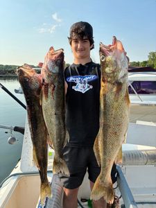 Angler holding 3 sauger fish caught in Erie