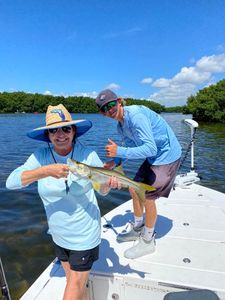 Hooked a Snook While Fishing in Tampa Bay