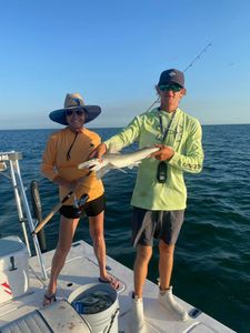 Tampa Bay Fishing Charters