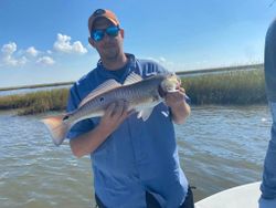 Top Inshore Fishing Charters!