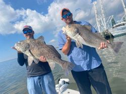 Black Drum Fishing in Louisiana