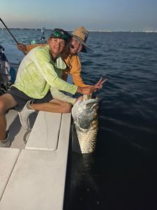 Tarpon Fishing in Tampa Bay