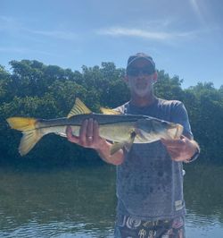 Tampa Bay Fishing Charters Fishing for Snook