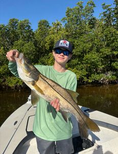 Fish-Species