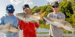 Redfish Run! Charter fishing in St Petersburg FL