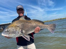 A single black drum fish caught in Florida