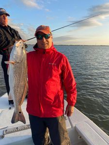 Redfish caught in Florida