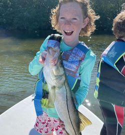A snook, a 15-inch saltwater fish, caught while fishing in FL.