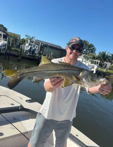 A snook fish caught in FL while fishing