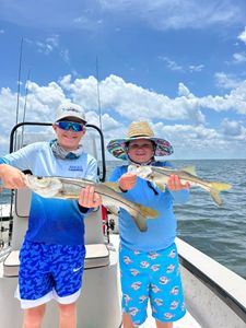 Two snook fish caught in Florida