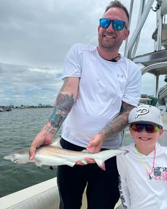 Blacktip shark caught during fishing trip in FL