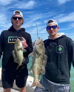 Two massive gag grouper caught in Clearwater, Florida while fishing