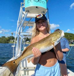 One person fishing in Clearwater