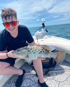A gag grouper fish caught by a person in Clearwater