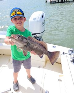 Gag grouper caught while fishing in FL