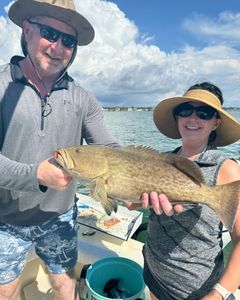 Gag Grouper, 24-inch fish, fishing in FL