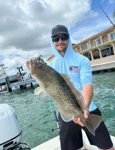 Gag grouper, 25 inches, fishing in FL