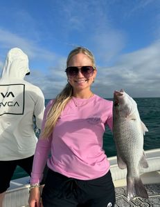 Grey snapper, 21 inches, caught fishing in FL