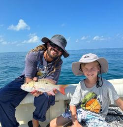 Mutton snapper fishing in FL