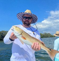 Fisherman with a 24-inch redfish in Clearwater