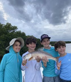 Redfish caught by 4 people in FL