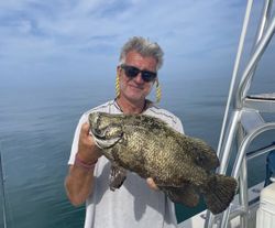 Tripletail fish caught while fishing in FL